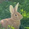 sunkissedbunn