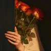user86193767702334