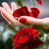 alirajput7280