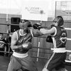 almazboxing17