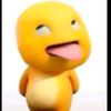 wheetskins