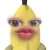 xywdaa24_