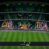 8vif8
