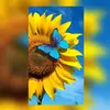 girasolesmagicos8