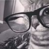 _joel_2602_