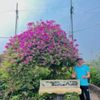 duonghainam888