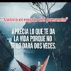 jose99galicia