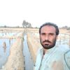 aslam.baloch.hamal