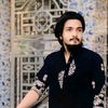 salmanmahmud013