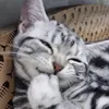 tr_thao_ngan_09