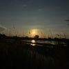 lu_vie7