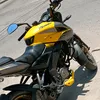 _polenta991_