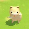 chicken0928282