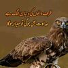 kashif.hussain2438