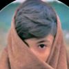 noman330330