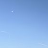 100101blue