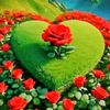 user987198722