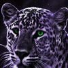 jc.lengasa.badeno