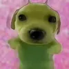 hongducchaidim