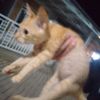 kayzoo_112
