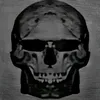 necoderbabo