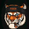 shoaib.shahbaz11