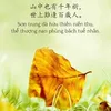 nguyn.c.nhn087