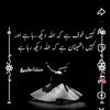 user3617690012513