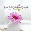 user4553447134177