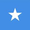 somali.lion3