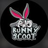Bunny.scoot