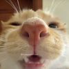 danna_smile1