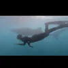 aquariumphuquoc