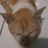 sweetybbe1