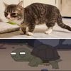 guccipradaturtle