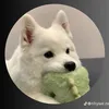 van__210