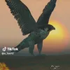 mskeu18