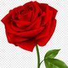 user63174561600543