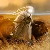 قرآن الكريم