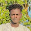 .hafeiz