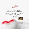 haidarali.075