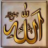 user4560816381841