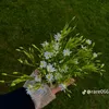 fatiiy_212