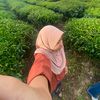 nayl_syfna