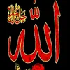 user5950816299615