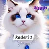 kheir.11