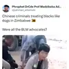 niyahamba