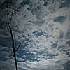 __zlli8