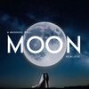 MOON VILLAGE