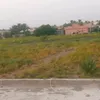 m30766116